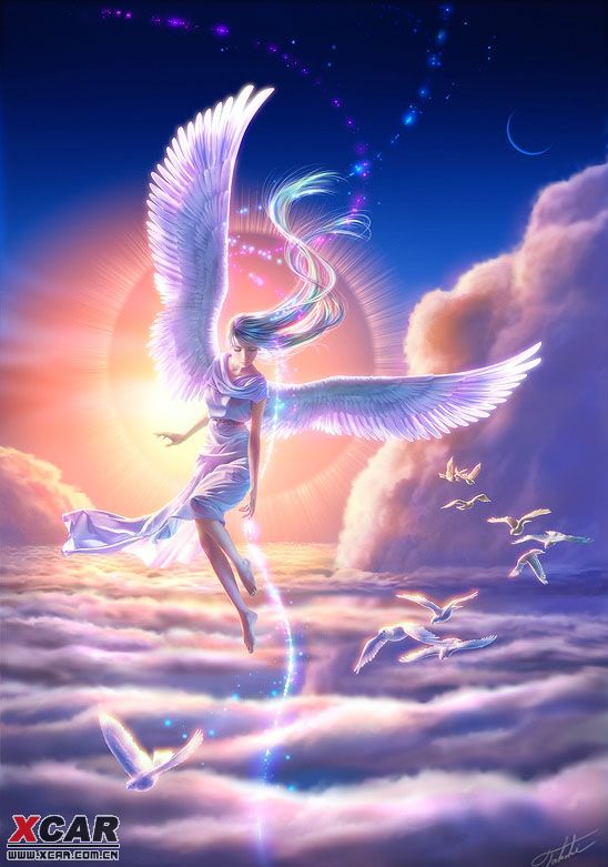 美丽天使是什么生肖、学习解释落实 美丽天使是什么生肖、学习解释落实