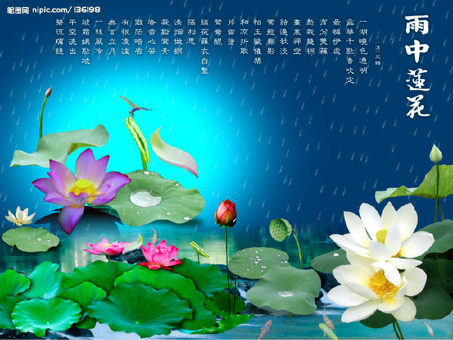 六根清净最佳生肖:词语解析解答落实 六根清净最佳生肖:词语解析解答落实