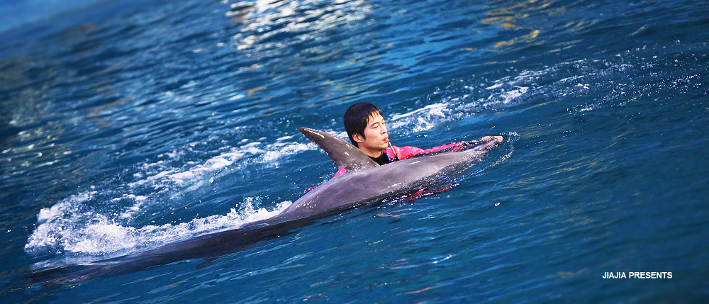 鱼水之欢，深度解析如鱼得水中的鱼与我们的自我实现