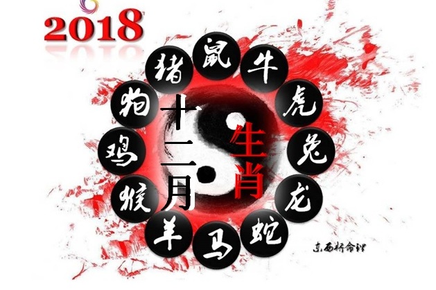 刀枪不入十二最佳生肖:答案全面解释落实