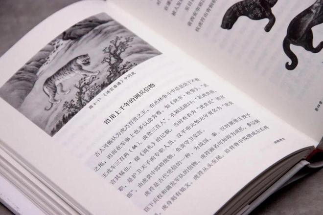 参天大树前人栽，生肖之谜的深度解析与文化启示