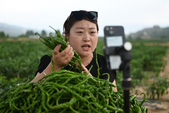 天水捣辣椒大爷的歇会时刻，最新政策解释与民生关怀的温暖篇章