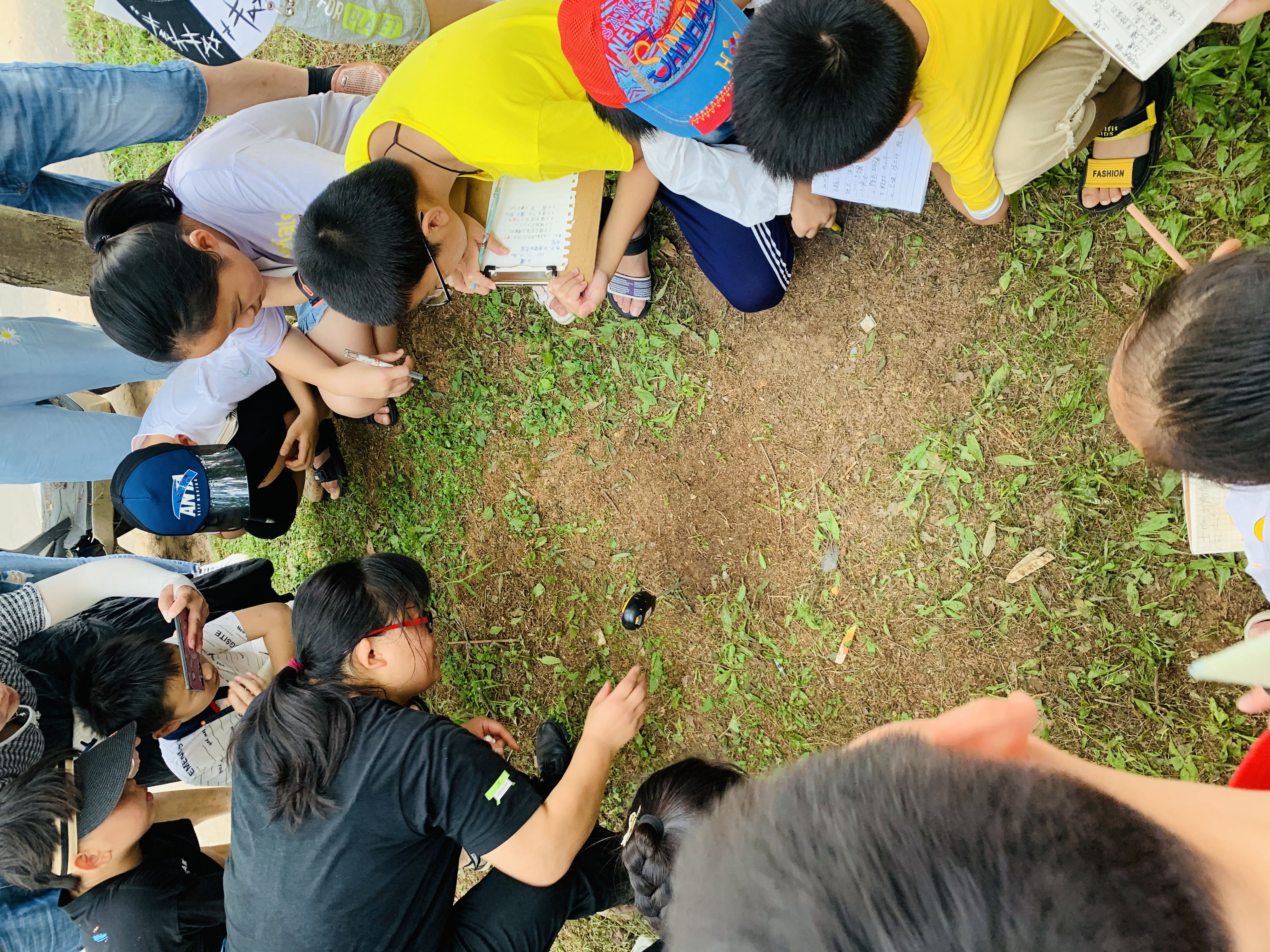 东张西望的动物—探索自然界的观察与信任 东张西望的动物—探索自然界的观察与信任