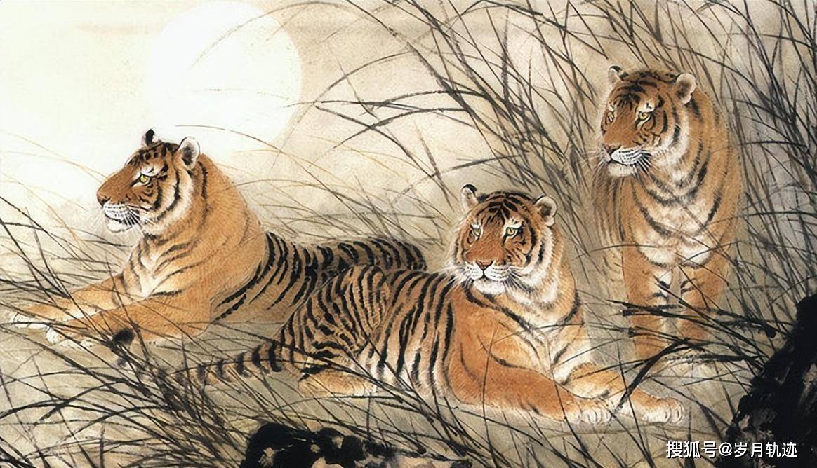 施谋用智打一正确生肖、网络解释落实