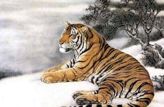 缺三短四揭秘,沉稳解释背后的生肖智慧 缺三短四揭秘,沉稳解释背后的生肖智慧