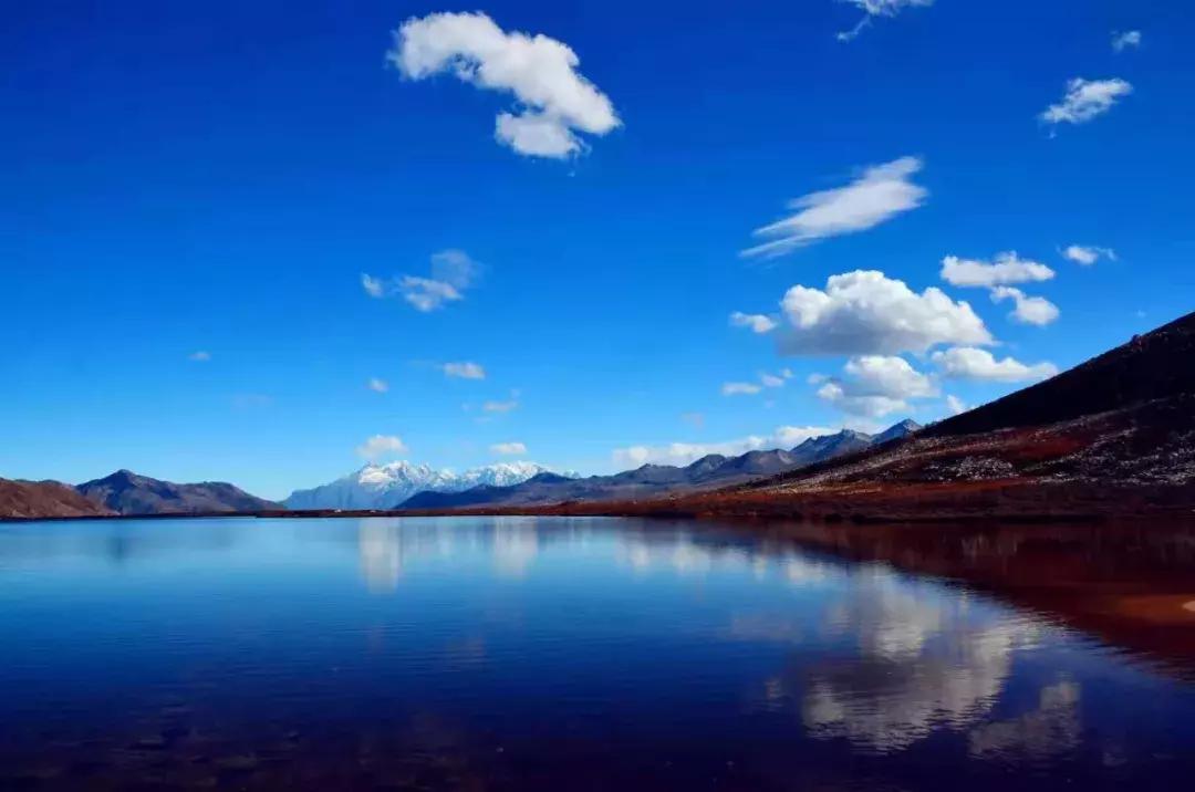 百炼成钢打一个准确生肖:答案全面解释落实