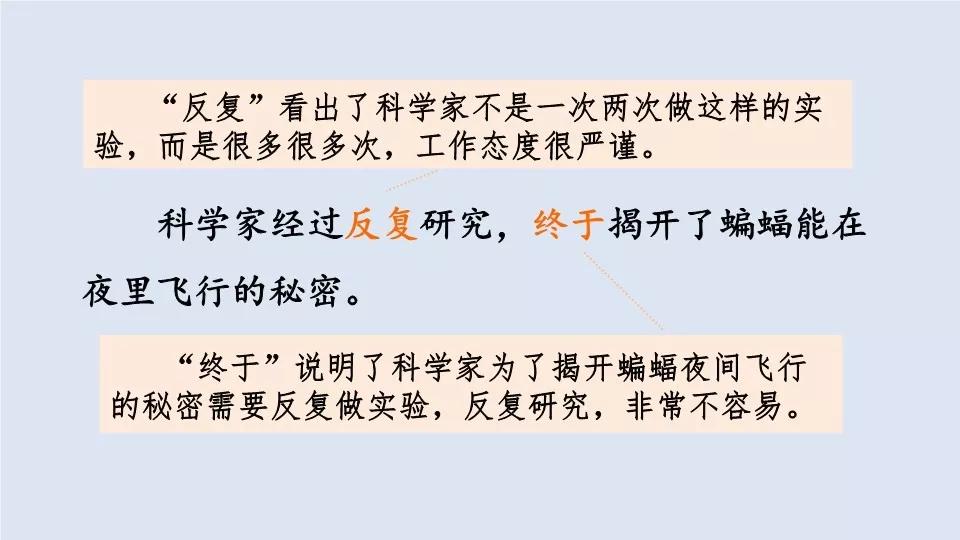 十指连心，揭秘生肖之谜与深度解析