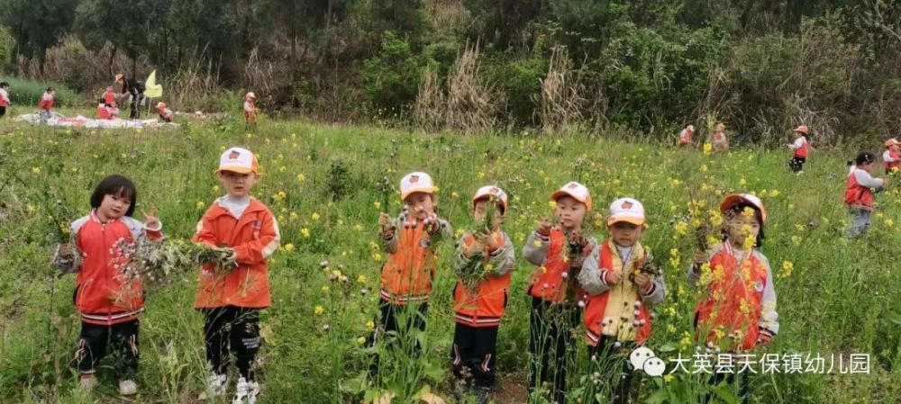 揭秘起早贪黑的生肖谜底,探寻勤劳的象征 揭秘起早贪黑的生肖谜底,探寻勤劳的象征