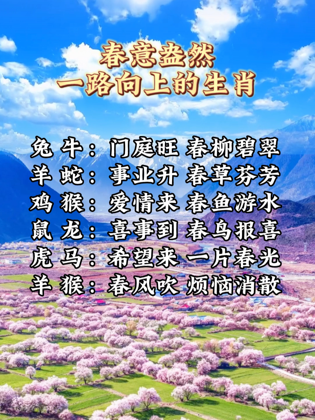 春光明媚指什么生肖、独特解释落实