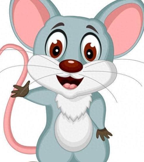 大智大勇与全面解释落实,生肖鼠的智慧与勇气 大智大勇与全面解释落实,生肖鼠的智慧与勇气