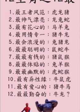 光说不练是什么生肖、全面解答与解释