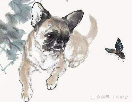 真命天子代表什么生肖、新型作答落实解释