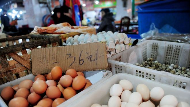 鸡蛋与猪价，市场波动背后的答案与应对策略