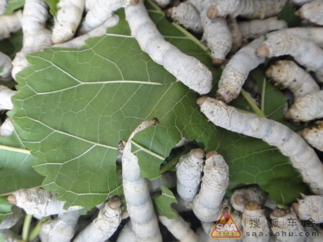 春蚕抽丝，以积极姿态落实每一个细节