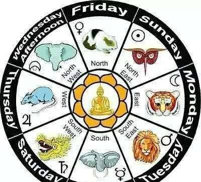 如鱼得水,生肖之谜的全面解析与文化解读 如鱼得水,生肖之谜的全面解析与文化解读