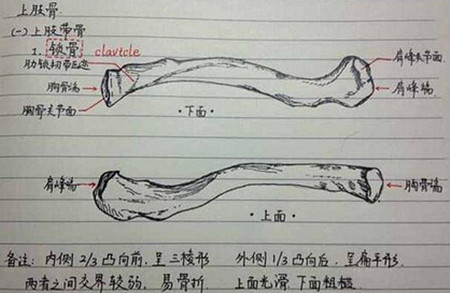 韶光似箭最准确的生肖、谁来落实解答 韶光似箭最准确的生肖、谁来落实解答