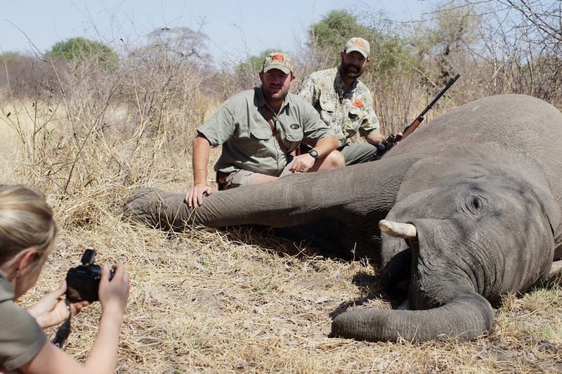 薄养厚葬打一动物、成就解释落实 薄养厚葬打一动物、成就解释落实