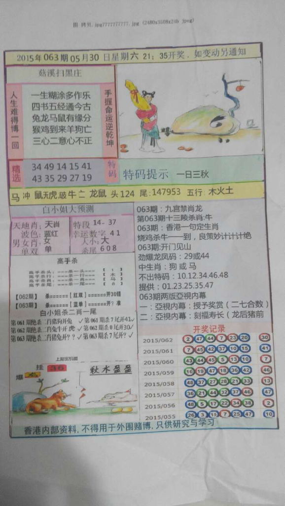 口若悬河与生肖之谜，揭秘最佳生肖的词语解析与解答落实