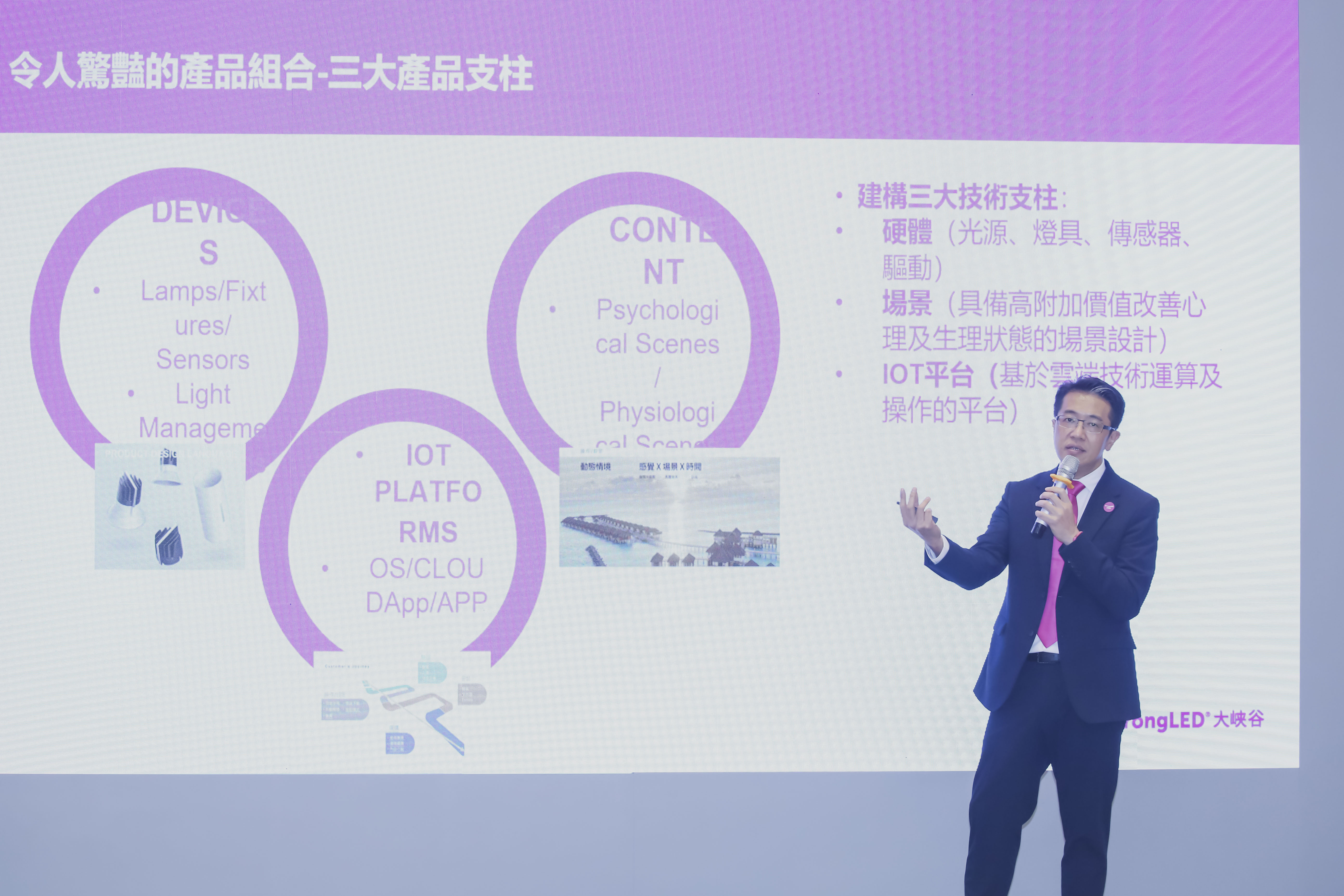 雨打灯笼猜一生肖，积极解释与落实的智慧之光