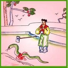 树大招风打一最佳生肖:马上为你揭晓落实