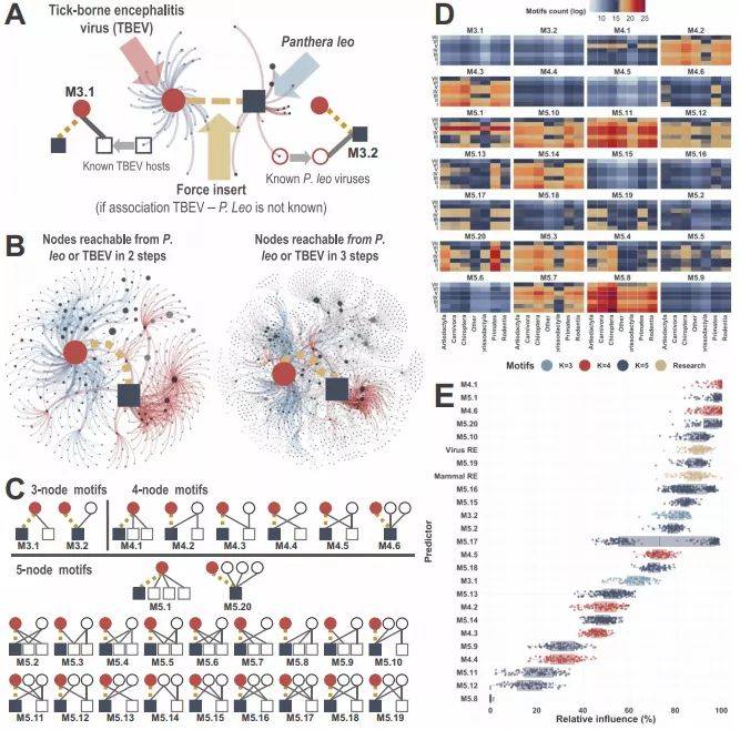 揭秘四三各配七六码，生肖预测的科学与理性