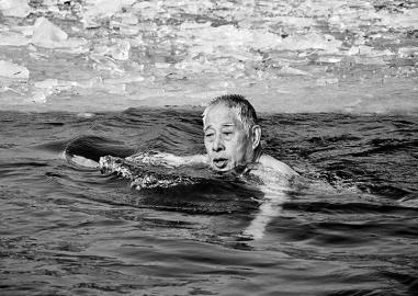 走南闯北是指什么生肖:词语解析解答落实