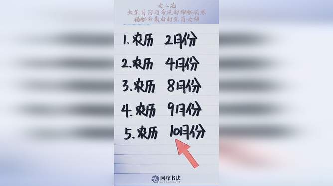 神勇无比,揭秘最佳一生肖的答案与人生启示 神勇无比,揭秘最佳一生肖的答案与人生启示