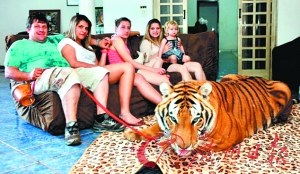 登堂入室是什么生肖:最快解答落实 登堂入室是什么生肖:最快解答落实