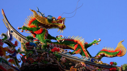 眼花缭乱,揭秘生肖之谜,精准解答与落实 眼花缭乱,揭秘生肖之谜,精准解答与落实