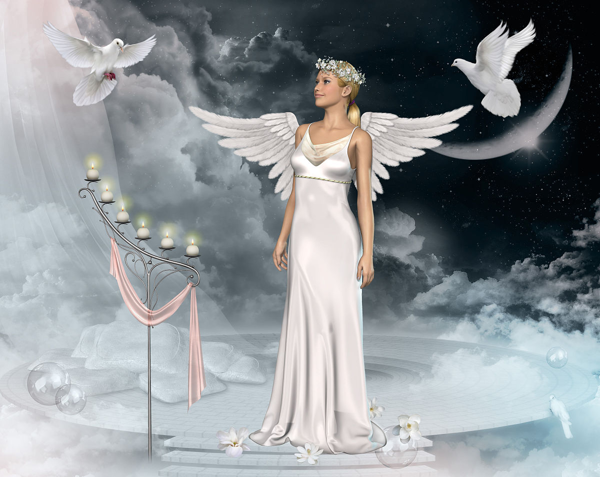 美丽天使是什么生肖、学习解释落实