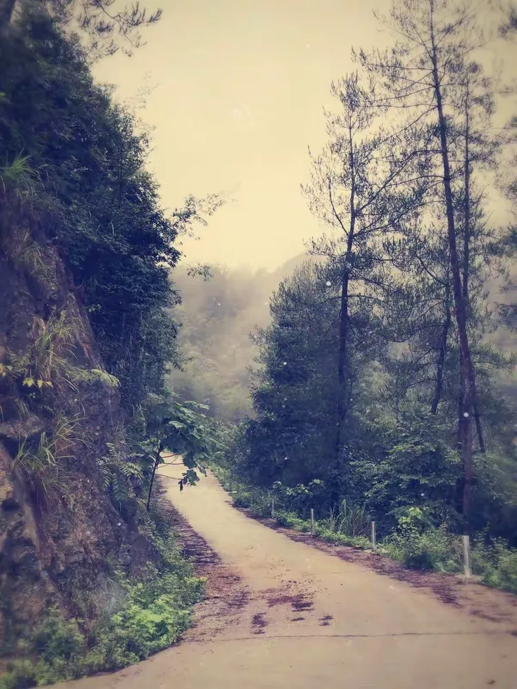 乡土难离,生肖背后的文化寓意与解读 乡土难离,生肖背后的文化寓意与解读
