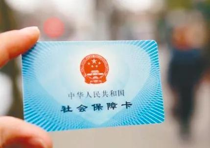 秋高气爽打一生肖、真相解释落实