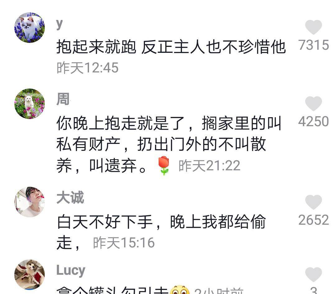 孳孳不倦打一准确生肖、佩服作答落实解释