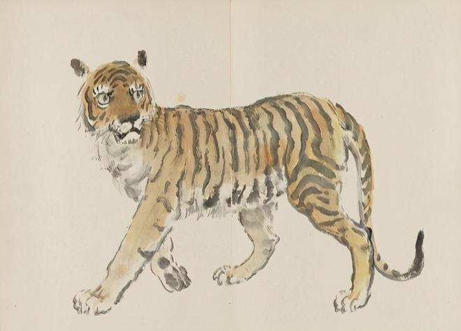 春蚓秋蛇与生肖之谜,一场文化与科学的热议 春蚓秋蛇与生肖之谜,一场文化与科学的热议