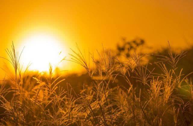 阳光普照，生艳阳高照暖大地，解一肖之谜