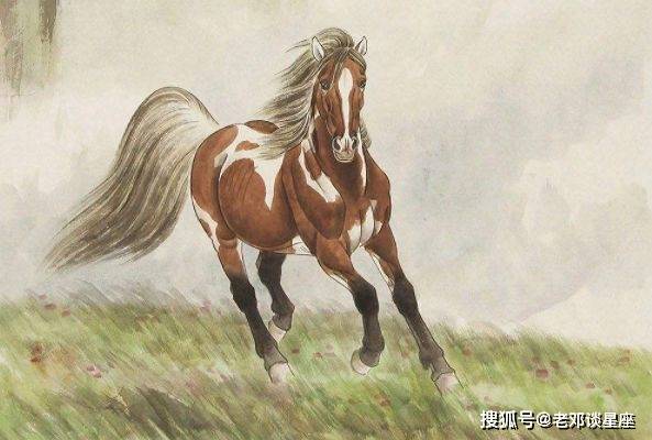 揭秘来势汹汹的生肖与常常解释落实的智慧