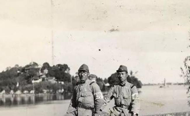 秋毫无犯,揭秘这一生肖的独特魅力与文化内涵 秋毫无犯,揭秘这一生肖的独特魅力与文化内涵