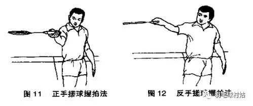 前仰后合打一准确生肖、全面作答落实解释