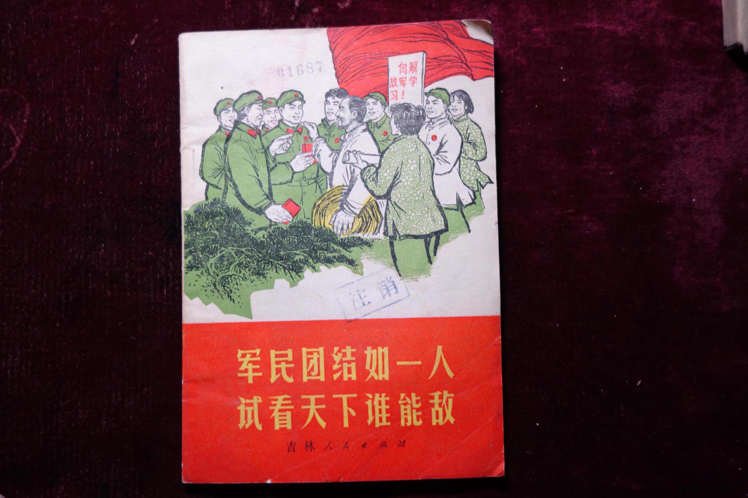 团结如一，万马奔腾的生肖奥秘与精神启示