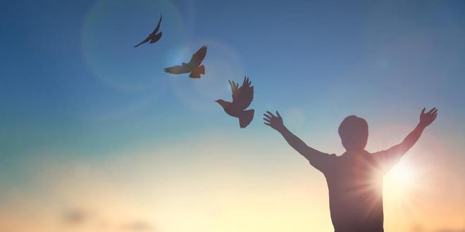 和平共处,生肖视角下的和谐共生哲学 和平共处,生肖视角下的和谐共生哲学