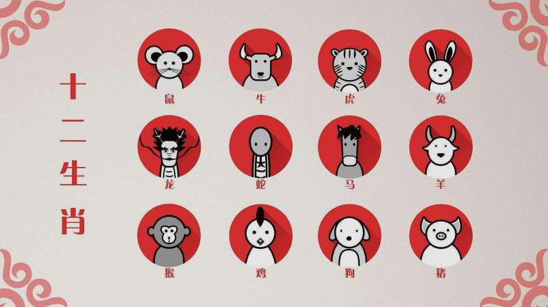 揭秘日月轮换背后的生肖奥秘，科学视角下的生肖解析