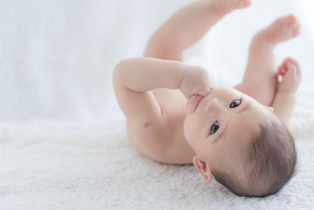 等闲视之,生肖背后的智慧与启示 等闲视之,生肖背后的智慧与启示