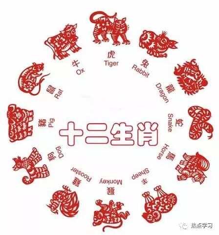 探秘吃吃喝喝背后的生肖密码,词语解析与文化解读 探秘吃吃喝喝背后的生肖密码,词语解析与文化解读