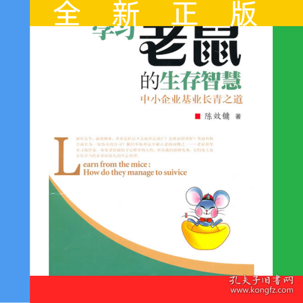 想前顾后,生肖中的智者—鼠的智慧与行动 想前顾后,生肖中的智者—鼠的智慧与行动