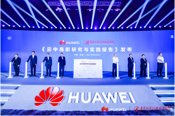 恸哭流涕与生肖之谜，激励解释与行动落实的深度探索