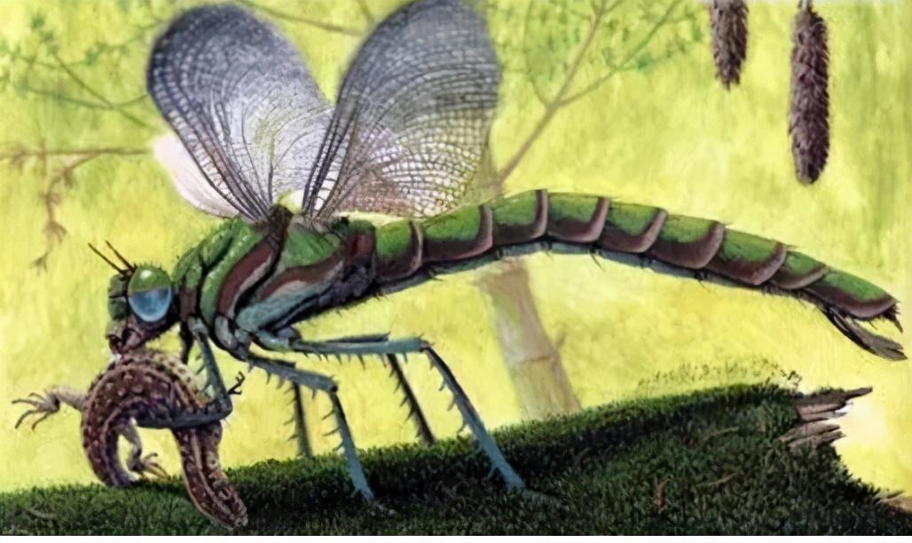 灭顶之灾打一个动物:马上为你揭晓落实 灭顶之灾打一个动物:马上为你揭晓落实