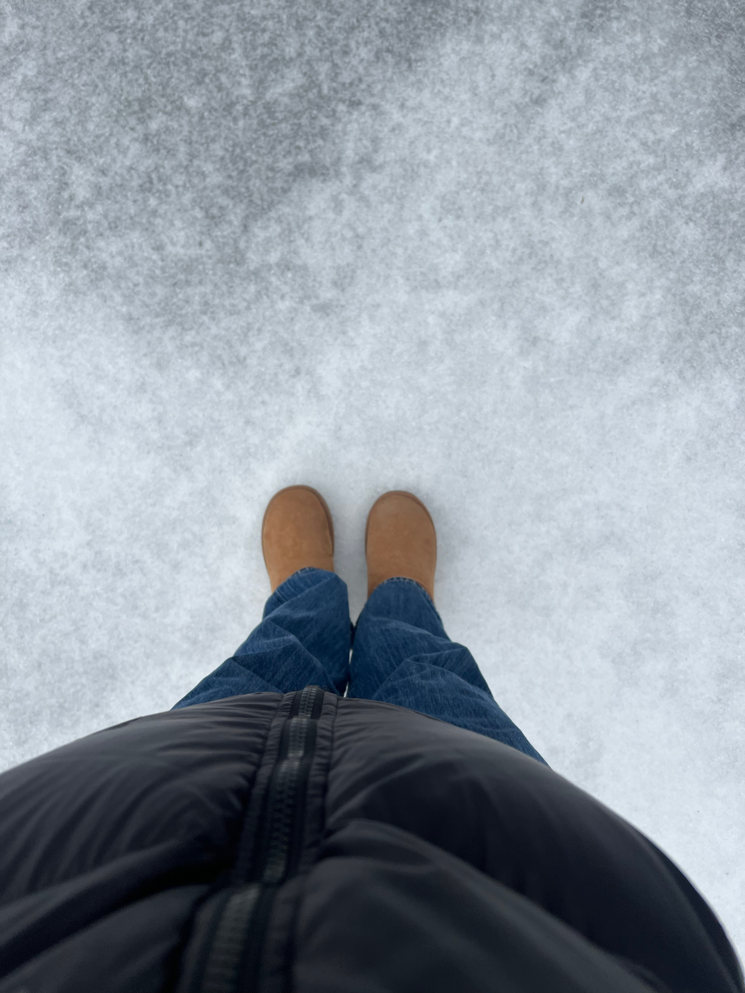 战战兢兢，生肖背后的文化与心理解析