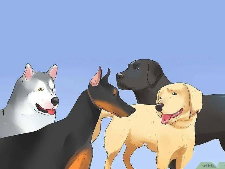 从邑犬群吠到嫉妒的动物世界与人性解读 从邑犬群吠到嫉妒的动物世界与人性解读