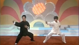 南拳北腿打一正确生肖:全面揭晓解释落实 南拳北腿打一正确生肖:全面揭晓解释落实