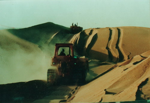 开路先锋是指哪个生肖:第一解答落实 开路先锋是指哪个生肖:第一解答落实